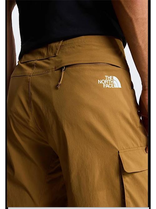 m exploration cargo shorts THE NORTH FACE | NF0A8EC71731.1731